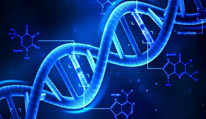 1466692231-dna